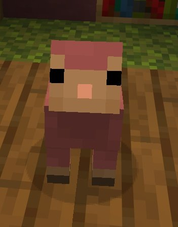 Marmitex78's tweet photo. Today we mourn the loss of Piano the baby pink sheep who lived in my basement

The cause of death is unknown, but my guess is that she was crushed to death by my Piston Door

RIP little fella https://t.co/u1nkuE4GKJ