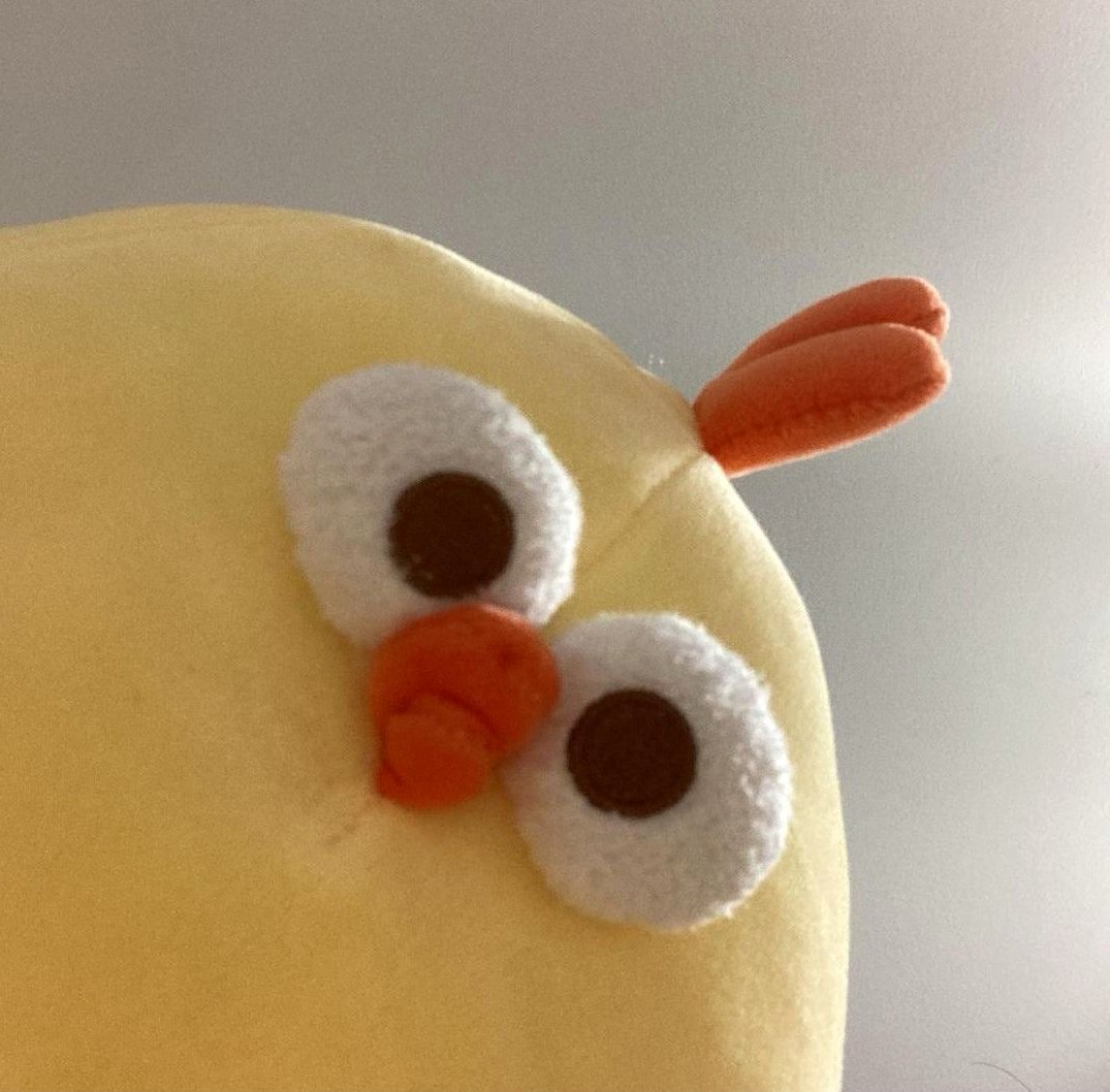 El_Bjoernito's tweet photo. 昔、英語のアウトプットを怠っていました。
その結果、聞き取れずに困った経験があります。
毎日少しの会話や文章を書くことで、
自信とスキルが急成長します。
即実践してみてください。 https://t.co/kL5muvnb28