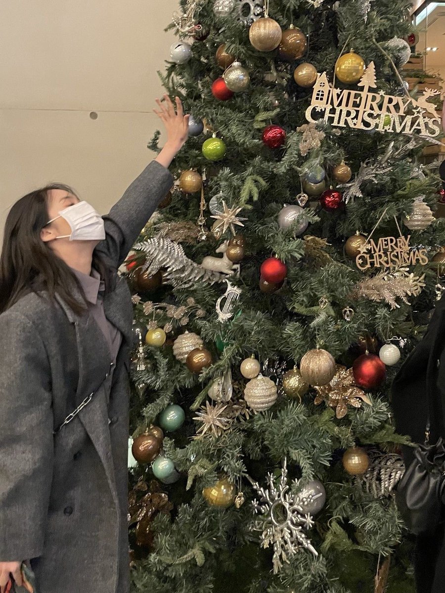 Bii6363's tweet photo. 오늘부터 달력이 정해준대로 살아가지 않을거야
공주 메리크리스마스🎄🫶🏻 https://t.co/uCV7HGJlAm