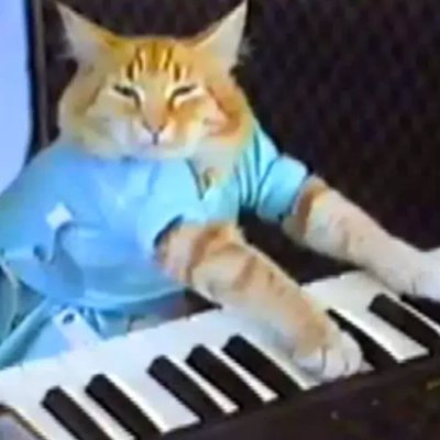 KeyCatRobinHood's tweet photo. @RobinHubHB simple. KEYCAT On robinhood https://t.co/dXdQxS8zwx