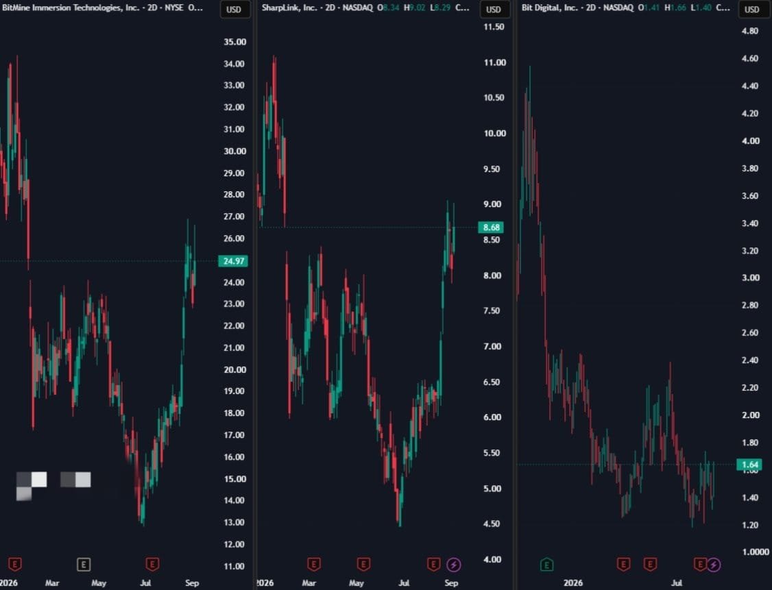 SteveXAU's tweet photo. $ETH Treasury companies are showing strong momentum.

Especially BitMine.

If this continues, more liquidity will flow into Ethereum, pushing its price higher. https://t.co/LI993Mguer