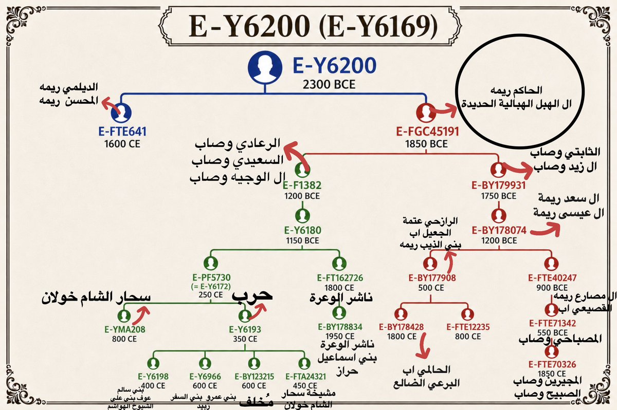 Abohazim0's tweet photo. المشجرة الجينية لفرع من قبيلة حرب العريقة،
على التحور E-Y6193، والذي يكشف عمقًا جغرافيًا مثيرًا للاهتمام 🧬 https://t.co/ZjRv4TUy5J
