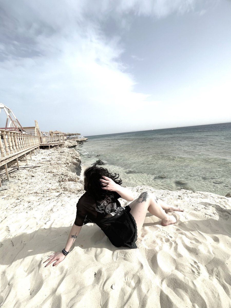 MoiraVexx's tweet photo. bring me back 🐚 https://t.co/h9eTW06B89