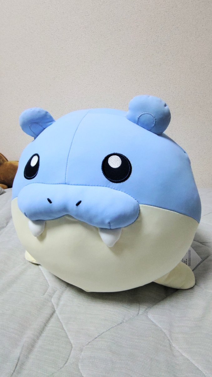 Hal_m1ya's tweet photo. タマザラシの「つぶらなひとみ」をくらってしまったので連れて帰ってきました。
このタマザラシ、冷えてます。 https://t.co/WBZOb5nM82
