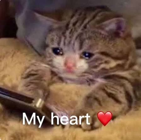 foursola's tweet photo. Naiiyak ako sa message ni Heath and Geo sa isa’t isa! 😭❤️ 

Broke my heart so beautifully. 

Geo: “This is, like, surreal. I remember when we were jamming in workshop, and now you have a whole crowd in front of you. I’m so proud of how far you’ve come.

I remember when you were showing me your songs on call, and I was showing you mine, and now you’re releasing it to the whole world. You’re everywhere. I’m so proud of you, bro.

This is just the beginning. This all comes to you.” 

Heath: “Guys, abangan n’yo rin ang mga kanta niya pag lumabas na ha? Kailangan mas mataas pa sakin yung streams, okay?

ITS HEATHS TIME
ITS HEATHS TIME

#HMJLiveInConcert