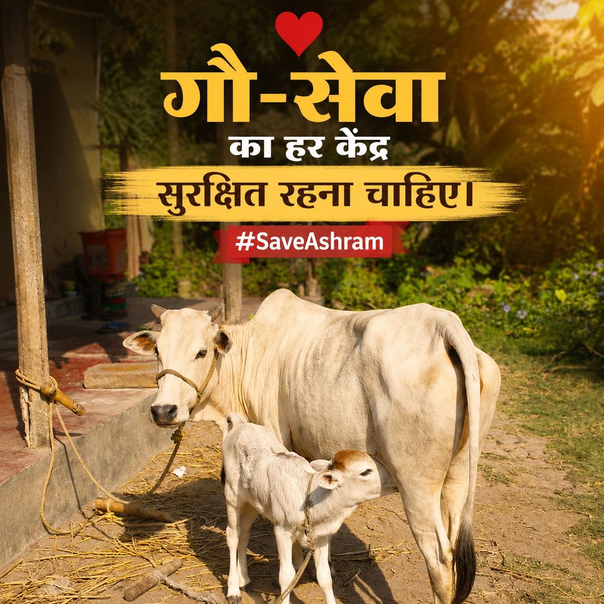 makarandmsgs's tweet photo. गौसेवा, धर्मजागरण और नशामुक्ति जैसे अभियानों के माध्यम से पूज्य बापूजी ने समाज में सेवा और संस्कार की भावना मजबूत की। Sanatan Dharma की रक्षा और आने वाली पीढ़ियों के उज्ज्वल भविष्य के लिए उनकी Tan Man Dhan Ki Tapasya प्रेरणादायी रही। #KyaKiyaHaiAsharamjiBapuNe https://t.co/Xuj22GJ6bS