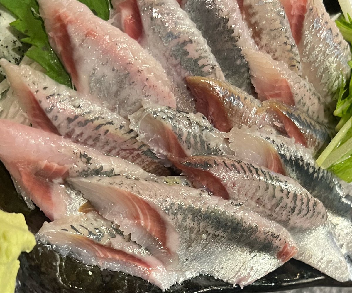 shiro_imo34's tweet photo. ご無沙汰投稿😅✋
生きてます 😇⚰️知らんけどw💦
今日のグリーディはマジで欲しかった😭
支援もしてもらったけど残念😩

ラーメンでも食べに行くか🍜😋

刺身も旨し🍣🐟✨️🔪
今宵も🍻
   #エアマックス95 #Greedy
  #酒呑みの呟き https://t.co/sHUlhSAc4k
