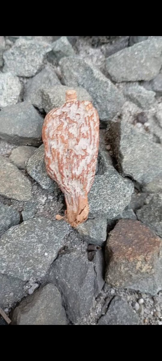 ThaOracleOfAges's tweet photo. #BACK__TO__SENDER

ITEMS:

• Snail shell

• 1 spoon of salt

• 1 bunch of alligator pepper ( remove the seeds )

PROCEDURE; https://t.co/JCHrOUeqcz