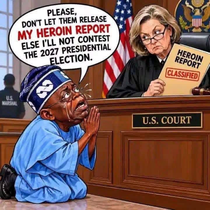 Abuchi67229822's tweet photo. Tinubu is the only president, who never attended the UN general assembly in New York. 
Why??? https://t.co/Uy2RRmLfiH
