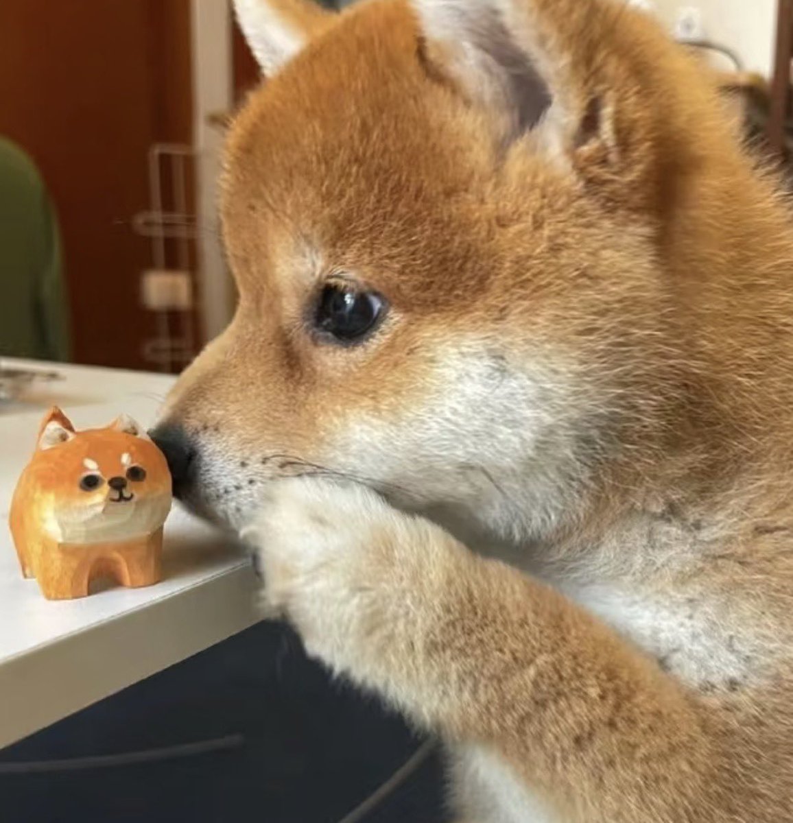 twaniimals's tweet photo. https://t.co/lGjKO0vmOM