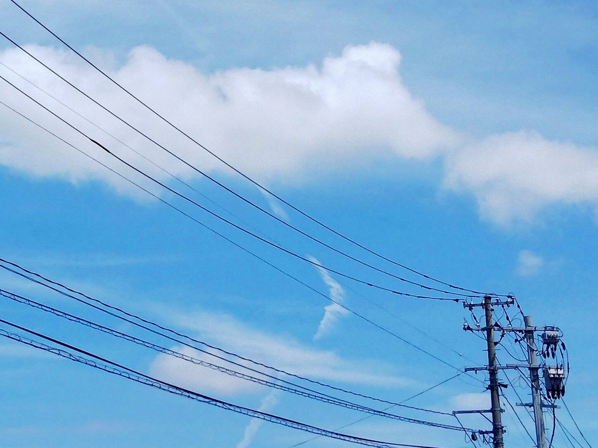 withpridesam's tweet photo. あ〜流石にそろそろ卒論とかを頑張らないとヤバいマジでヤバい https://t.co/EqMZtDuMj3