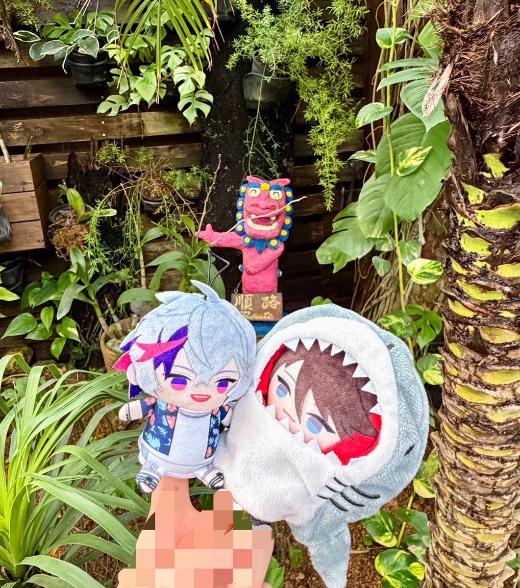 tokunder's tweet photo. めんそ〜れ〜🍍😻🌺 https://t.co/gmqbETyL8b