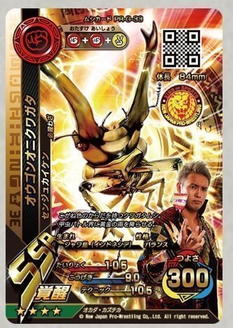 kanato20064's tweet photo. 新ムシキングとプロレスラーのコラボカードです
#ムシキング
#新ムシキング https://t.co/kfh0J3iGCU