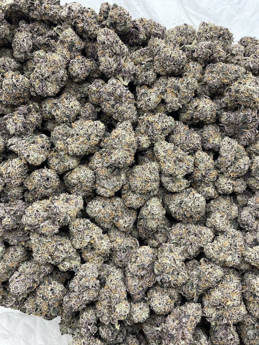 HorizonzThe's tweet photo. MIDNIGHT WHAMMERZ 
#htxx #houston #htx
#southeast #southside #pasadena #pearland #spring #cypress #kingswood #houstonfreaks #houstonmeets #houstonmeetups #meetups https://t.co/pAgZrUmawl