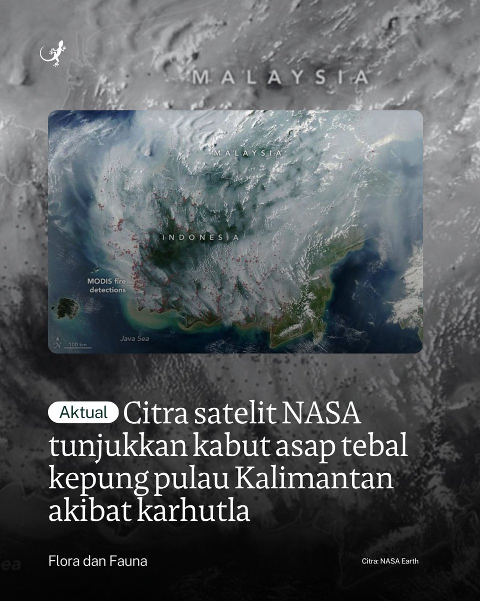 MongabayID's tweet photo. NASA melalui Earth Observatory merilis citra satelit Aqua bertanggal 1 September 2026 yang menunjukkan kabut asap tebal menutupi sebagian wilayah Indonesia dan Malaysia. https://t.co/oCYVePcKfh