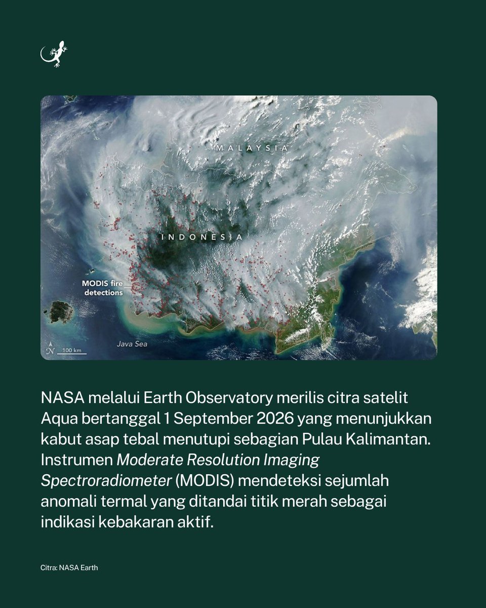 MongabayID's tweet photo. NASA melalui Earth Observatory merilis citra satelit Aqua bertanggal 1 September 2026 yang menunjukkan kabut asap tebal menutupi sebagian wilayah Indonesia dan Malaysia. https://t.co/oCYVePcKfh