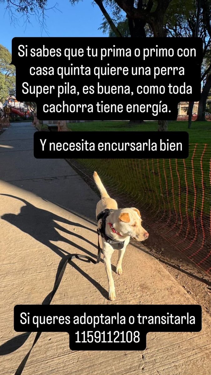 patripeyrou's tweet photo. Rt
Difundimos https://t.co/Mkoa3v8BPC