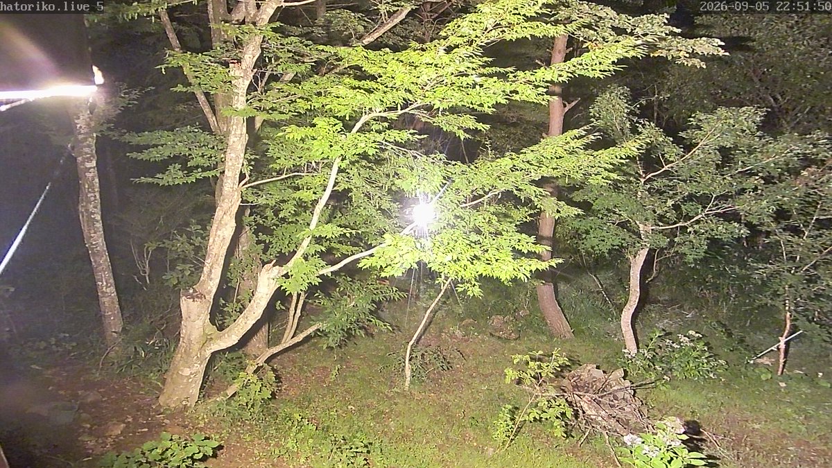 HatorikoBot's tweet photo. 🕒 09月05日 23時01分現在の福島県・天栄村・羽鳥湖平和郷の気象状況です。
🌡 気温:14.6℃
🏳 最大風速:調整中
🌐 気圧:1021.1 hPa
🌧 日雨量:0.6mm
🔎 詳細、グラフは プロフィールのリンク から
#天栄村 #福島県 #空ネット #netatmo #クマ https://t.co/K0CoTaSQYo