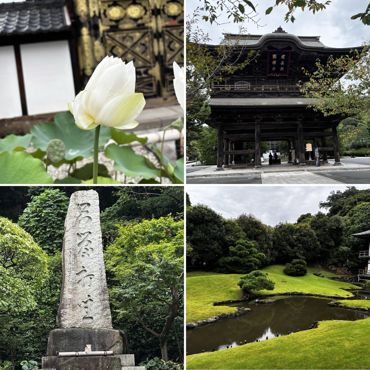 mizunakuwabara's tweet photo. ウン十年ぶりの鎌倉。
仏像が好きになった中学生の頃、最も近場で、お寺が沢山あり仏像が見られる鎌倉が大好きでした。
せっせと歩きながら、寺めぐりに夢中になった頃の気持ちを思い出しました☺️ https://t.co/GZUubFkisM