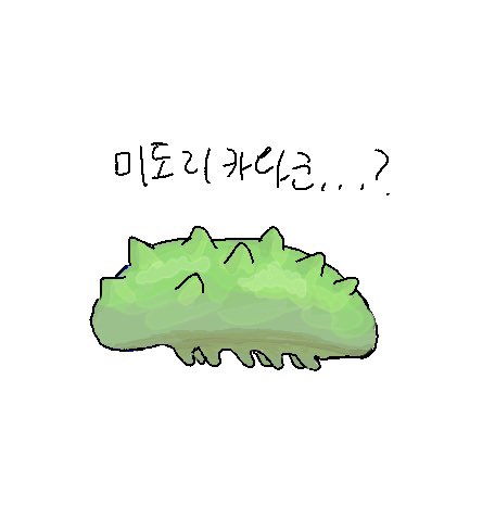 H8ZIBGna0UGRjcZ's tweet photo. 미도리카와군이 이렇게 보여 https://t.co/TYqz5K8dz4