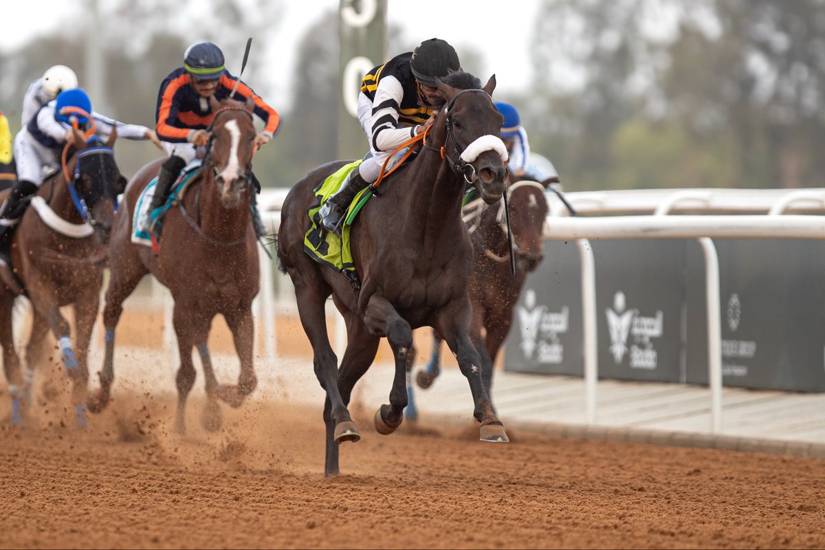 JockeyClub_SA's tweet photo. نتيجة الشوط الثاني | الحفل 14

◻️ الفائز: لعيون مزيد
◻️ المالك: عبدالله مزيد مدهش الصعبي
◻️ المدرب: عبدالله السهلي
◻️ الخيال: محمد الدهام
◻️ المسافة: 1400م

#نادي_سباقات_الخيل
#موسم_سباقات_الطائف https://t.co/mw5aTqrkzo