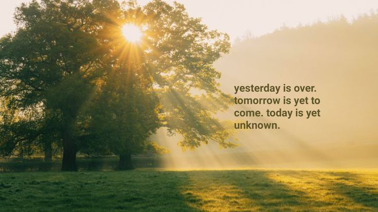 tinytiger_'s tweet photo. “Do not let making a living prevent you from making a life.” —John Wooden https://t.co/bmVmIJZn5e