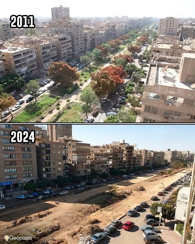ElkhateebRania's tweet photo. إبادة الأخضر https://t.co/xdpzKYxAIW
