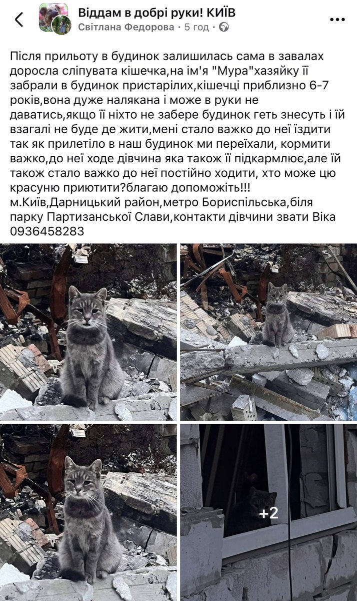 irena_druzenko's tweet photo. Серце на шматки! Будь ласка заберіть 🙏🙏🙏🙏🙏 https://t.co/5IkeIaYhWx