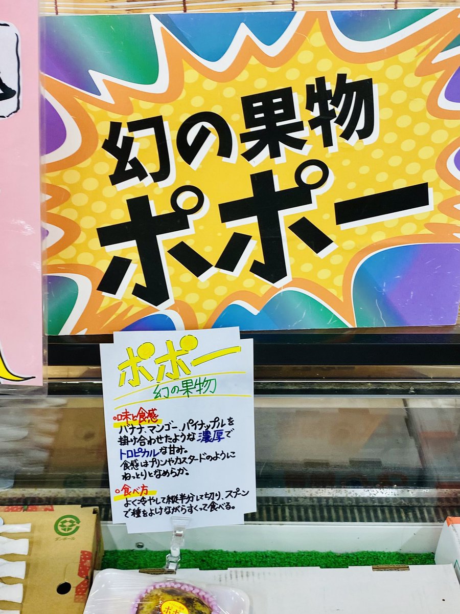 5no4_no72's tweet photo. 彗星の如く好きな果物ランキング上位に名を連ねたポポー。数日前にひとりで初めて食べてすっごく美味しかったから、今日K氏と改めて食べた。足がとても早いから幻と言われているらしい。アボカドとマンゴーとパパイヤの感じ。これはもう悪くなってるかな？くらい柔らかいのがとても美味しい。溶ける。 https://t.co/N7ff9ojipR