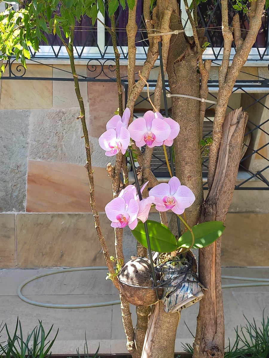 gabrielnsda2018's tweet photo. Bom dia!!! O mês de setembro já chegou, e a Primavera vem aí. Bem vindos a Estação das Flores!!! 💐🌸🌹🌺🌻🌼🌷🪻⚘️ #vaipassar https://t.co/fzKt64Aazt