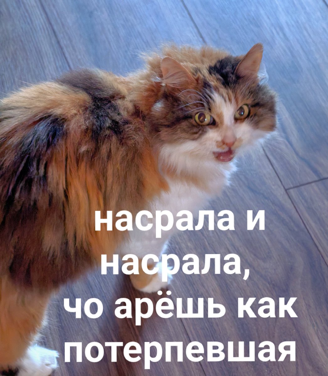 p_olla's tweet photo. @dyrnoe_vliyanie https://t.co/C7Y4Z5BP1S