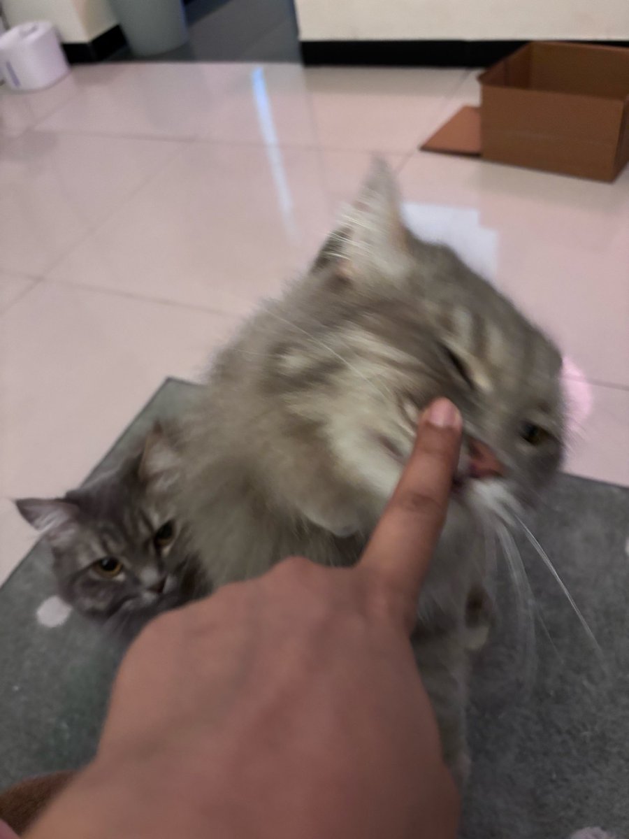 poojasinhaha's tweet photo. to the left, to the right https://t.co/SAxqU5FQh0