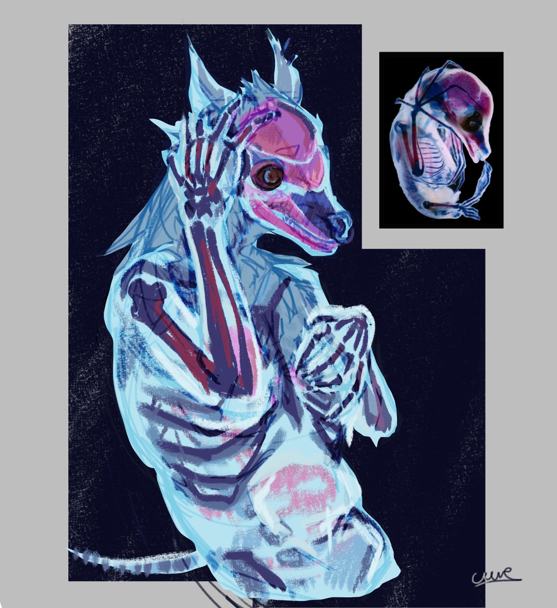 ccruuma's tweet photo. very old art [2024]
tw: bones/guts https://t.co/6M7cZVpAdx