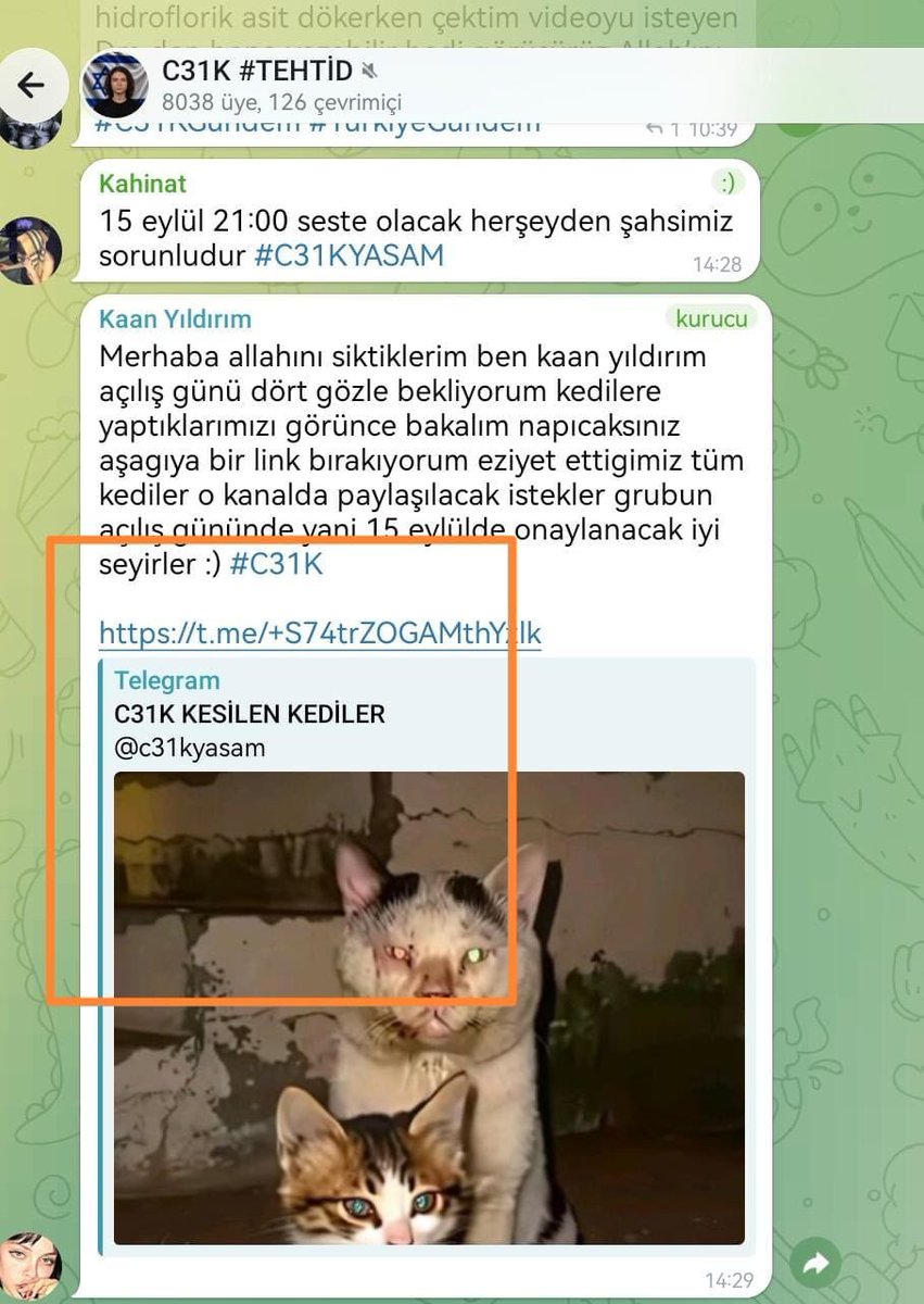 XplodBeatz's tweet photo. Adresleri belli, kim oldukları belli, yaptıkları ortada. Buna rağmen bu yapılar hakkında neden hala etkin ve caydırıcı bir işlem yapılmıyor? Üstelik yalnızca hayvanları değil, insanları da tehdit eden bir şiddet kültürü büyüyor.
Peki bizi, bu ülkeyi ve vatanımızın bir parçası olan hayvanlarımızı kim koruyacak?
Artık tepkisiz kalanlara, bu konuyu gündeme getirmeyenlere soruyorum:

Daha ne olmasını bekliyorsunuz?‼️

Bu ülkenin barışı, huzuru ve geleceğimiz olan çocuklarımızın güvenliği sizin için önemli değil mi?

Tepkisizlik şiddeti büyütür. Şiddete sessiz kalmak, şiddetin önünü açar.

ŞİDDETE HAYIR! 🐾
Yetkilileri bu şiddet sarmalini kırmasını ve faillerin cezalandırılması için işlem  yapmaya davet ediyoruz.aksi takdirde büyüyen  bu kötülüğün altında hepimiz kaliriz.

KÖTÜLÜĞE, CEZASIZLIĞA HAYIR🐾🐾

@TC_icisleri 
@mustafaciftcitr 
#HayvanaŞiddetSuçtur