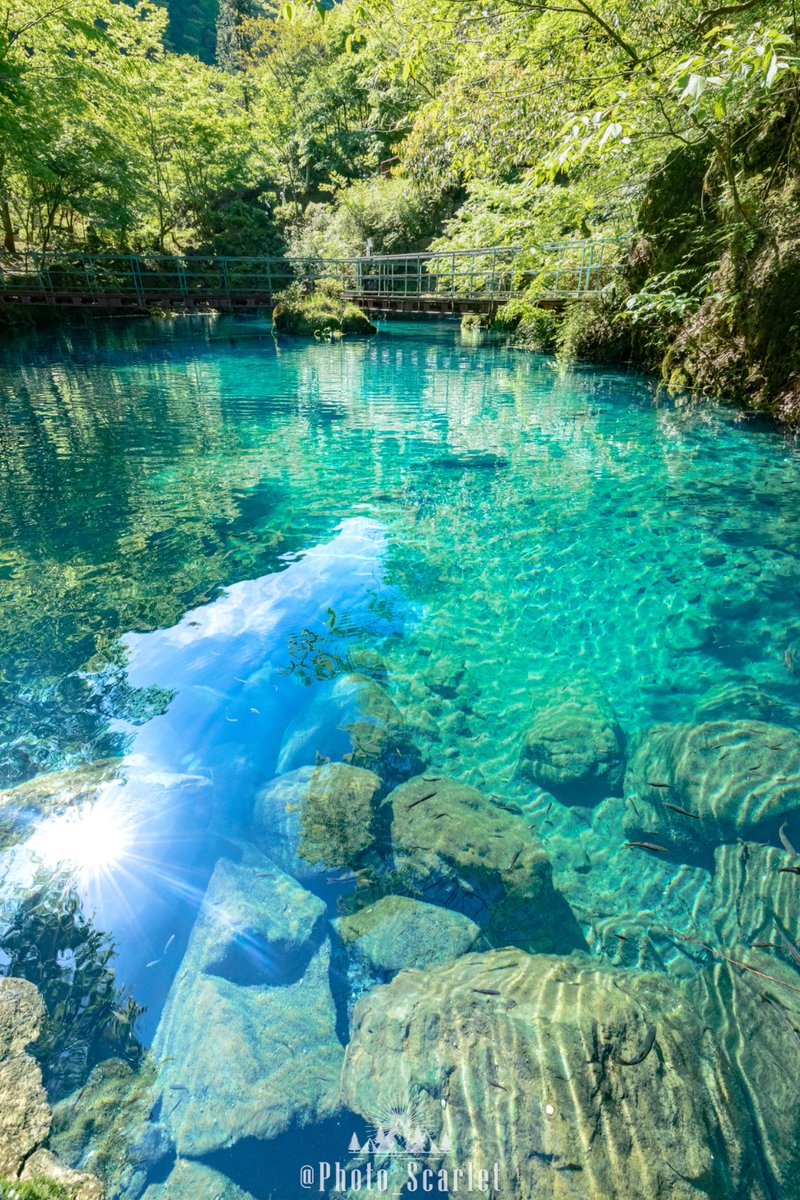 Photo_Scarlet's tweet photo. 高知県は、川も湖も海も癒しの色でした https://t.co/OD4rfSjG2P