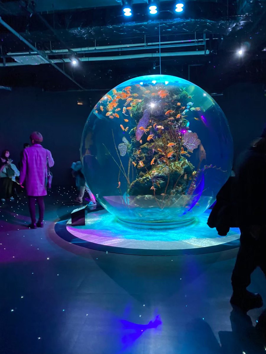 _usss___YsmY's tweet photo. ❤️さんの行った水族館
2023年に行ってんねんけど、❤️さんの写真見てると色々変わってるし、何よりそんなに他のお客さん映らんと写真撮れることある！？！？😂😂
って思いました😂😂
今度有馬温泉行こ〜😂😂 https://t.co/6n7g69vpkX