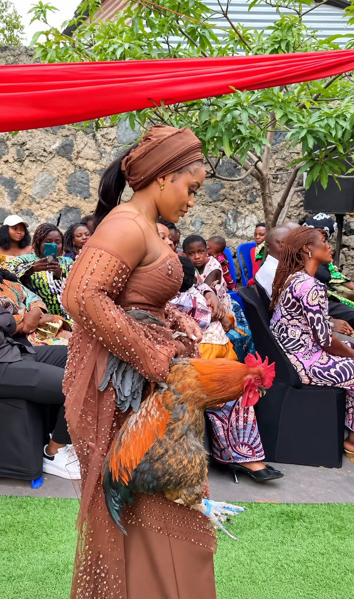 kenkenlewu's tweet photo. She made it public that she can always return to her father’s house if the marriage is no longer favorable to her by presenting a big fowl to her husband, and her husband accepted it😳

People say that is the symbolism behind the big fowl she is presenting to her husband.

Me: Whoa 😳😳 Some cultures really permit this? Once their husbands stop treating them well, they can simply pack their bags and return to their father’s house.