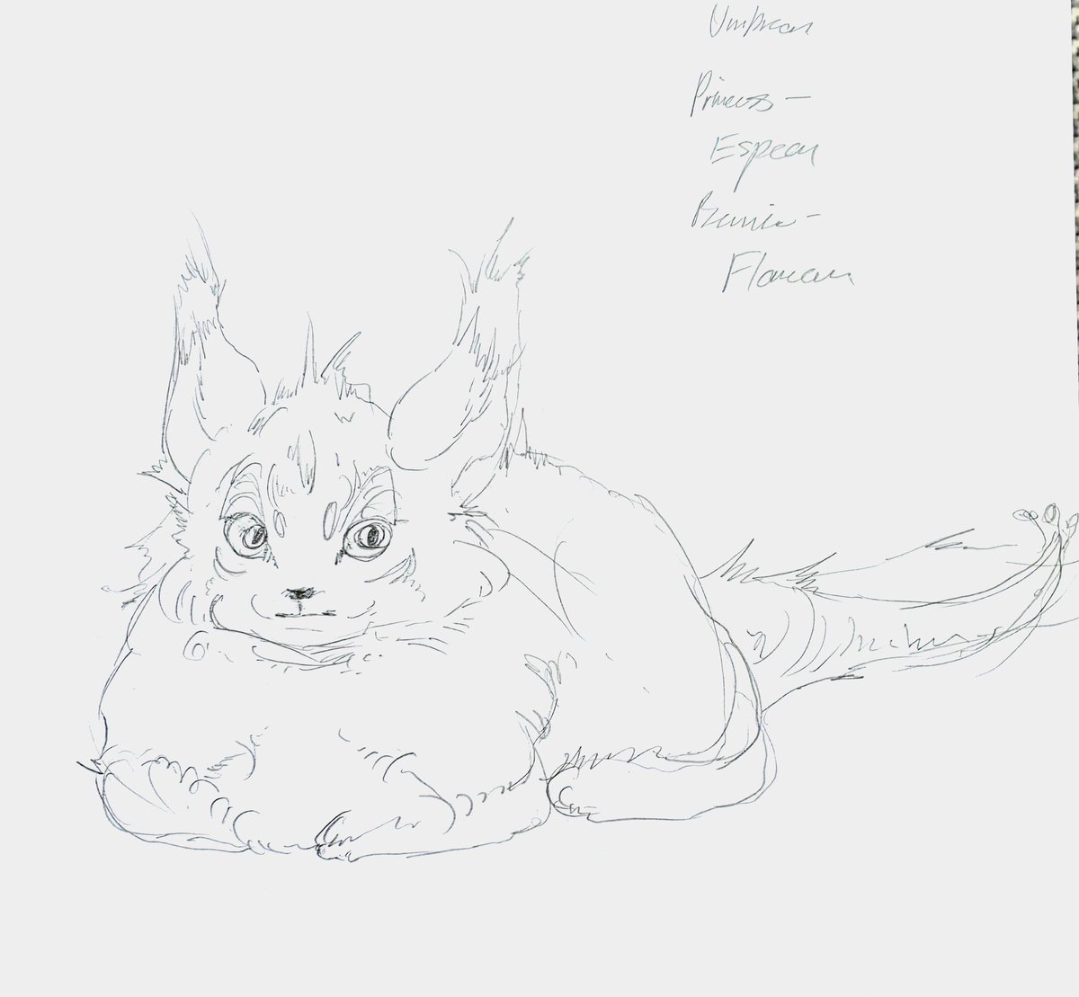 thefizz_17's tweet photo. Pokemon designs based on my cats https://t.co/zZkxqUrbS7