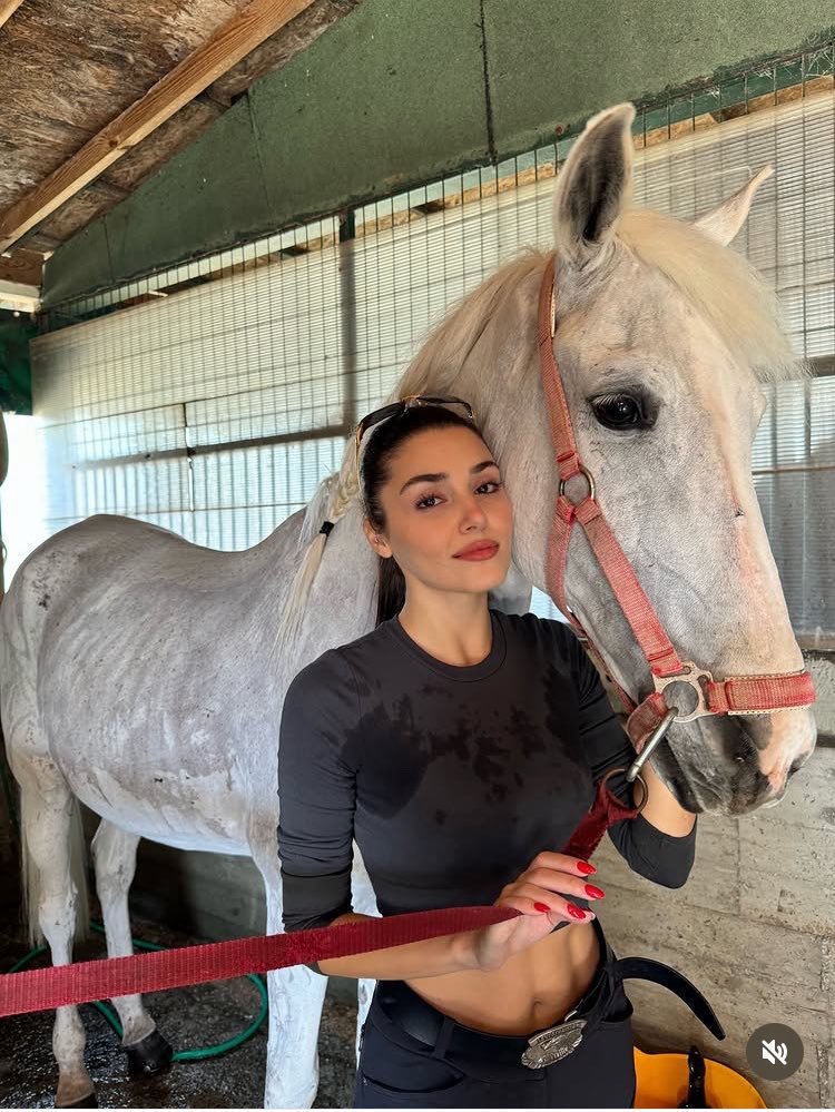 Masusi8's tweet photo. 🫂🥺🤍💨❤️🩹🕊#HandeErçel #Handemyy https://t.co/imKvPPtv63