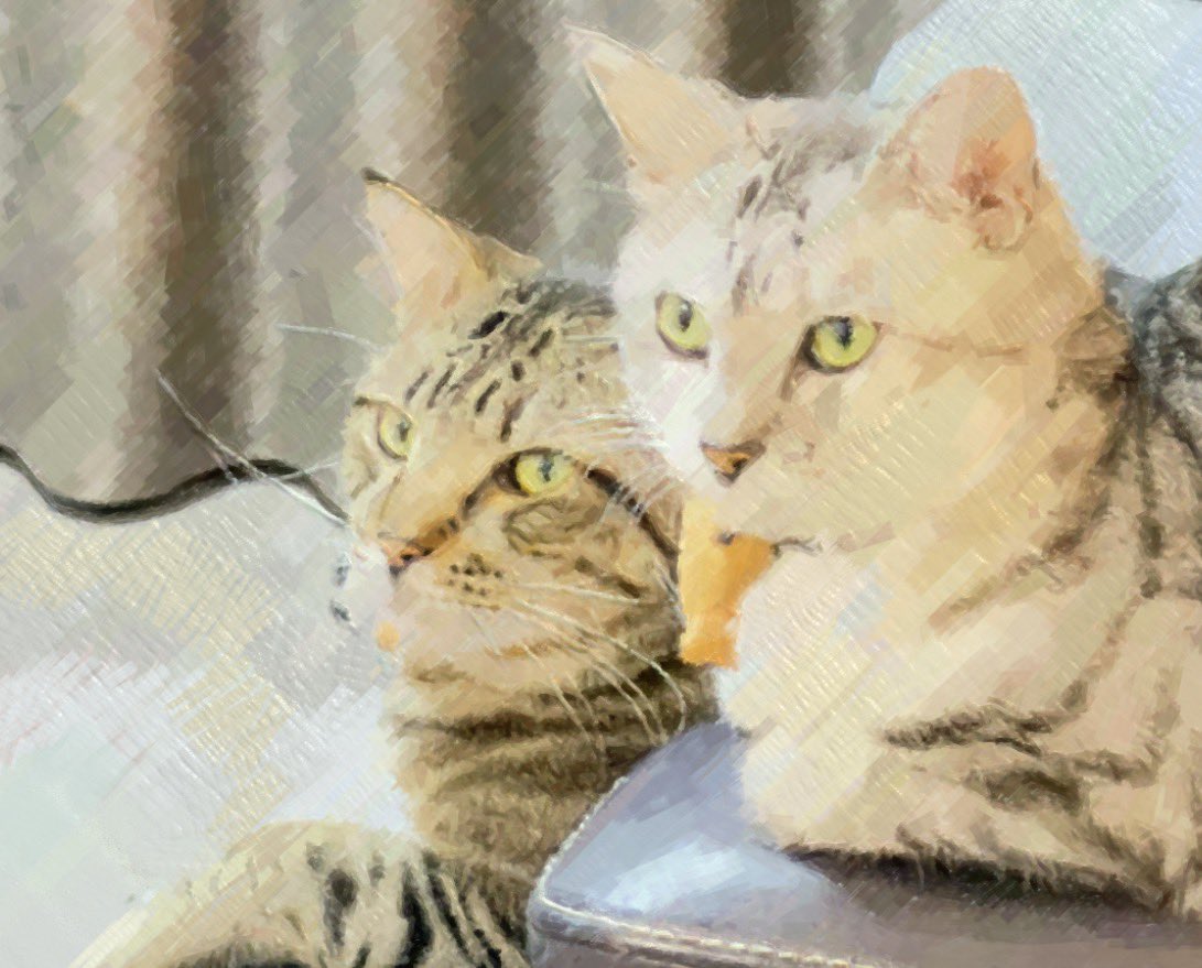 Darkness_Eater2's tweet photo. もふもふのお裾分け https://t.co/6pX8VXImQE