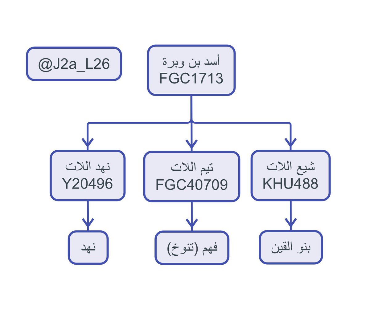 J2a_L26's tweet photo. المشجرة الجينية المبدئية لقبيلة أسد بن وبرة بن قضاعة على التحور FGC1713 :

يقول أبو الطمحان القيني
ترض حصى معزاء جوش وأكمة
بأخفافها رض النوى بالمراضح

نتيجة أبو غوش من فلسطين أرض بلقين القضاعية أسفل الفرع القيني KHU488

ونتائج فهم التنوخية أسفل الفرع FGC40709 https://t.co/koIIGijXVX