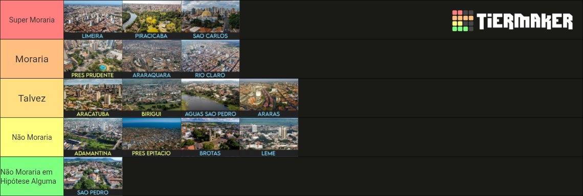 elevvm tweet picture