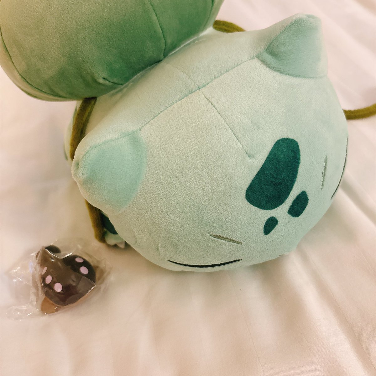 nono_o9's tweet photo. ホテル帰ったら夫がサプライズで買ってきてくれてた！！！フシギダネとドオー😍😍 https://t.co/IpV00CFbT1