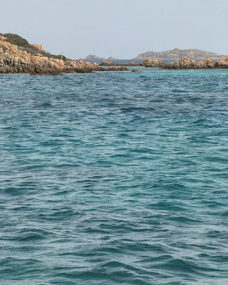 Jo0sef's tweet photo. La Maddalena
📍Sardinia , Italy 🇮🇹 https://t.co/N7o2PRmIR8