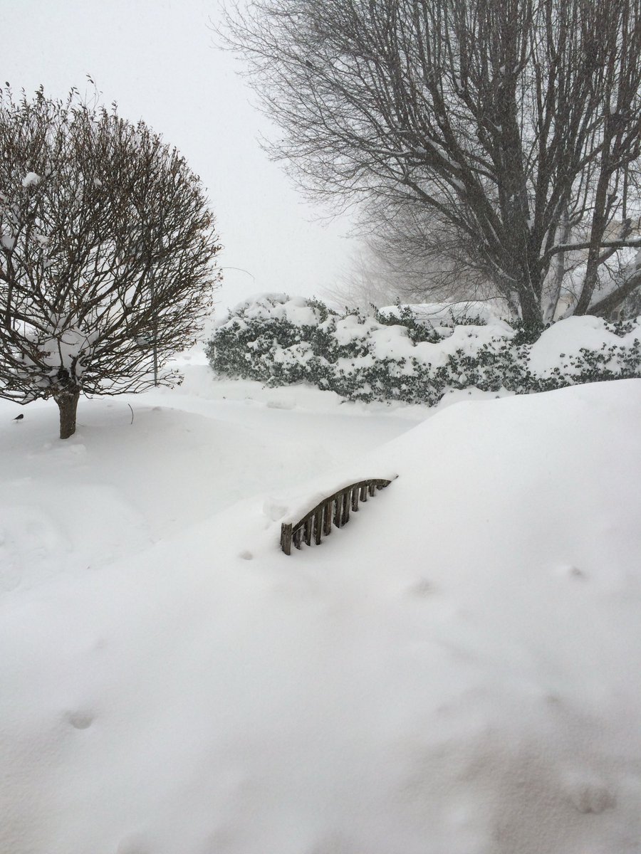 teahan22's tweet photo. @capitalweather Burtonsville, MD 1.23.16 https://t.co/5LSxAsYnb5