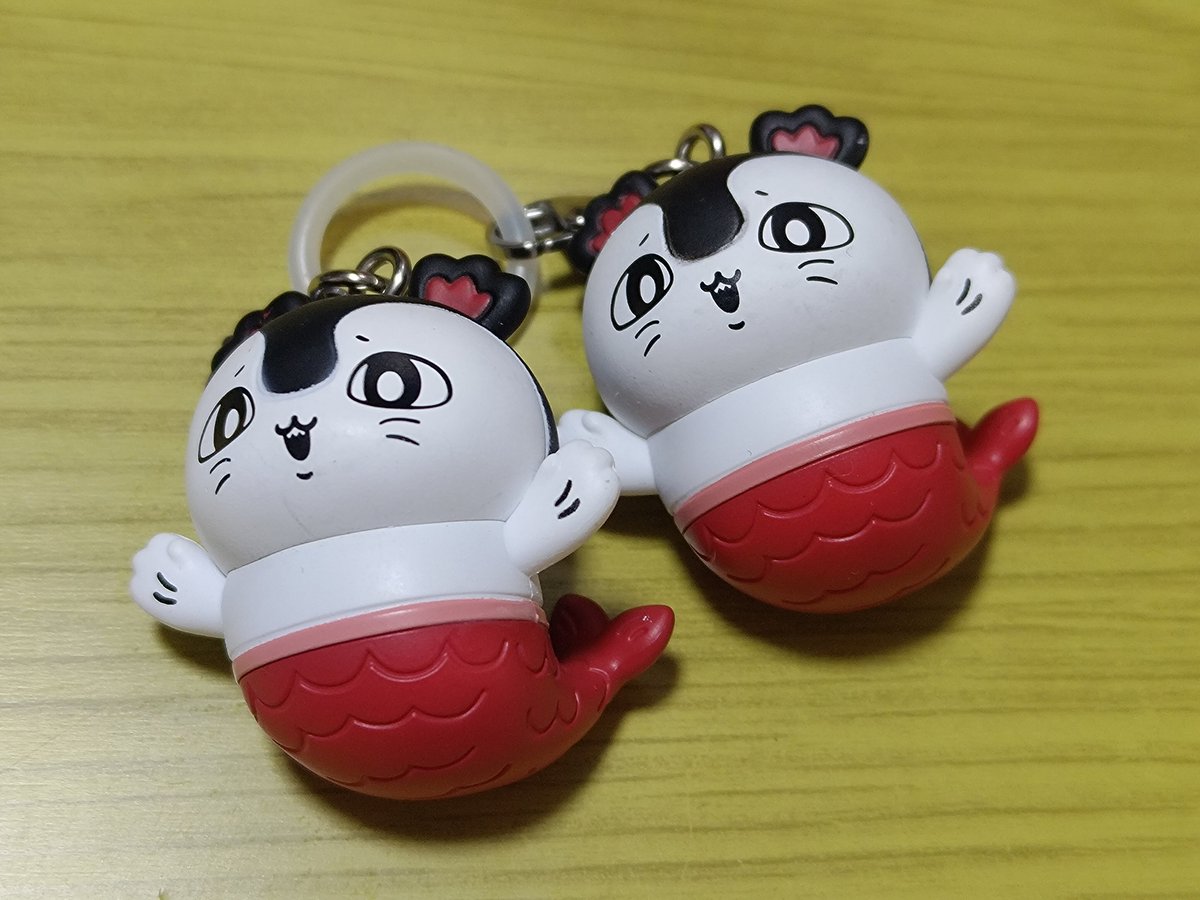 h_km_st's tweet photo. 写真！！！！ https://t.co/DMfUk8SIQE