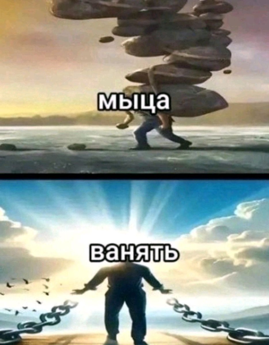 Wirallly's tweet photo. УЖАС В ПОНЕДЕЛЬНИК ПЕРВЫЙ ДЕНЬ В ВУЗЕ ПРИДЕТСЯ ��ЫЦА!!!! https://t.co/EvfuJxwp1P