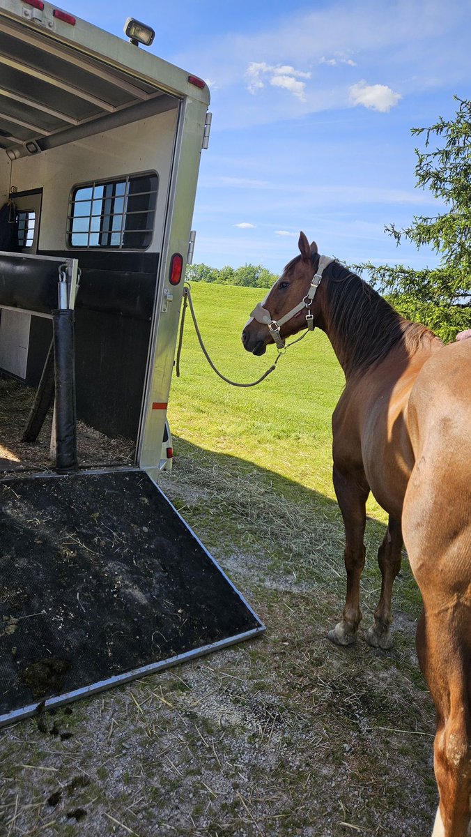 Dorisburke211's tweet photo. Are you interested in racing ownership or horse rescue/charity? https://t.co/5YLsOJXh69