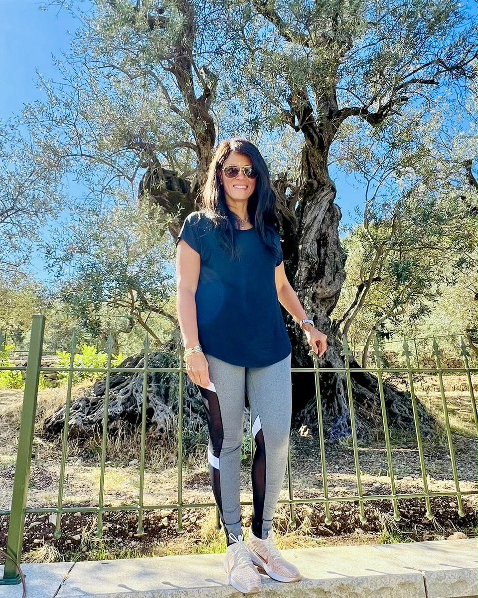 RaniaAlMashat's tweet photo. As we celebrate #UN80 &amp; head to #UNGA81, the olive branches on the @UN emblem remain a timeless symbol of peace &amp; unity 🇺🇳.

I was struck by the enduring meaning of this symbol in my visit to the Millennial Olive Trees in Bchaaleh, Lebanon. https://t.co/HKnYJSDqys