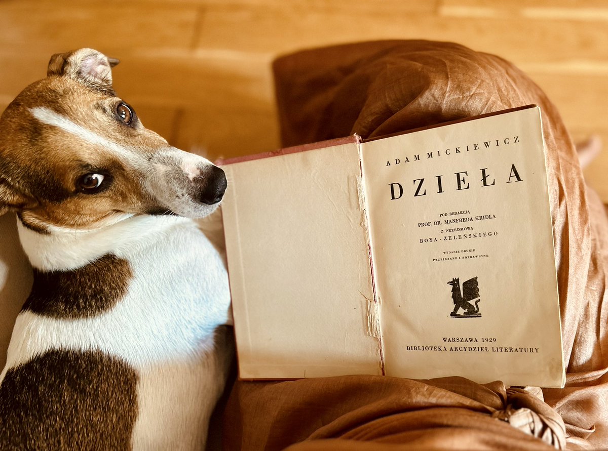 MajaNabzdyjak's tweet photo. „Kto marzeń tknięty chorobą, 
sam własnej sprawcą katuszy, 
darmo chciał znaleźć przed sobą, 
co miał tylko w swojej duszy…”

🇵🇱#NarodoweCzytanie #Dziady #Mickiewicz #WzruszDziady https://t.co/JtxvODBYd9